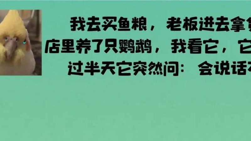 自制饼干送礼，这些注意事项不可忽视